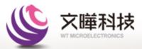 WT Microelectronics Co Ltd