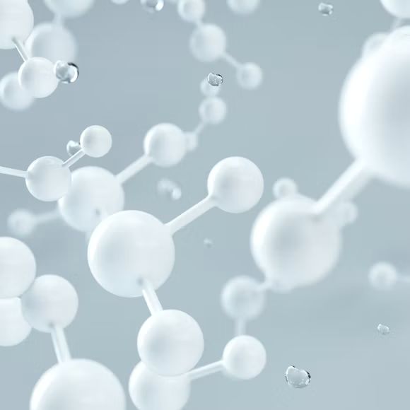 Webinar Image