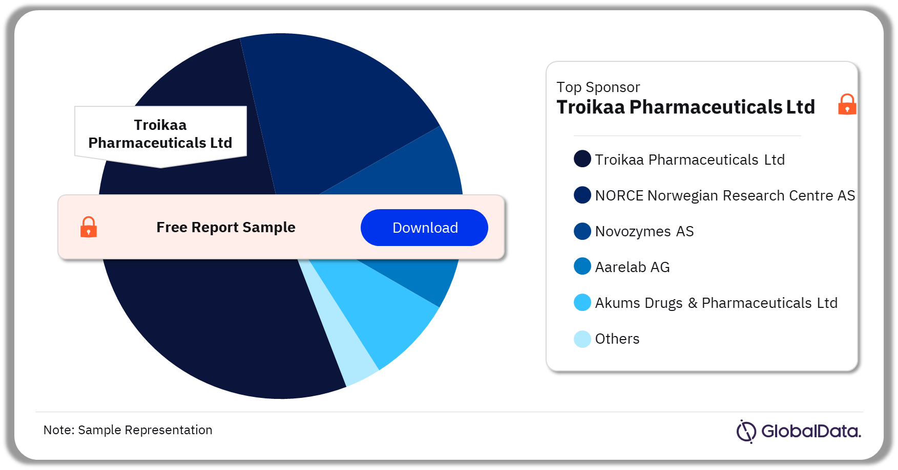 Hypocobalaminemia Deficiency Clinical Trials Market Analysis by Sponsors, 2023 (%)