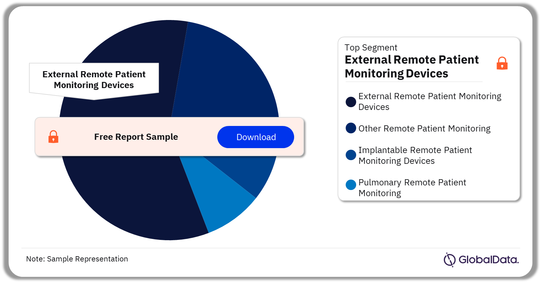 Remote Patient Monitoring Pipeline Market Analysis by Segments, 2023 (%)