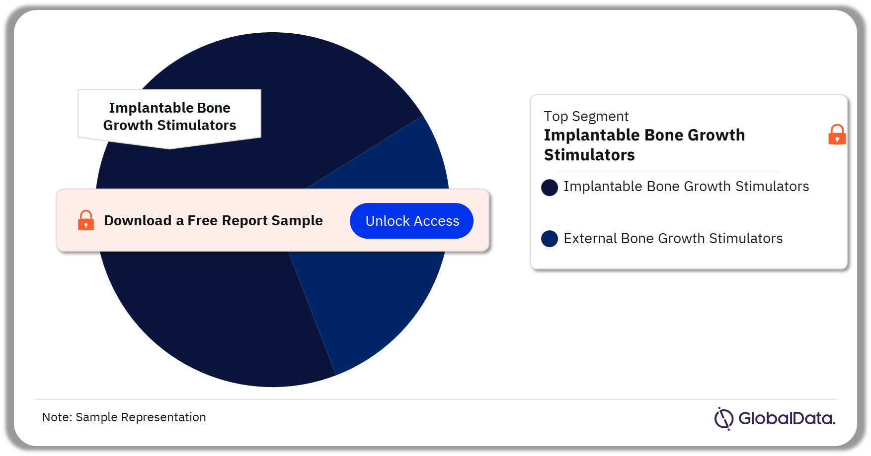 Bone Growth Stimulators Pipeline Market Analysis by Segments, 2023 (%)