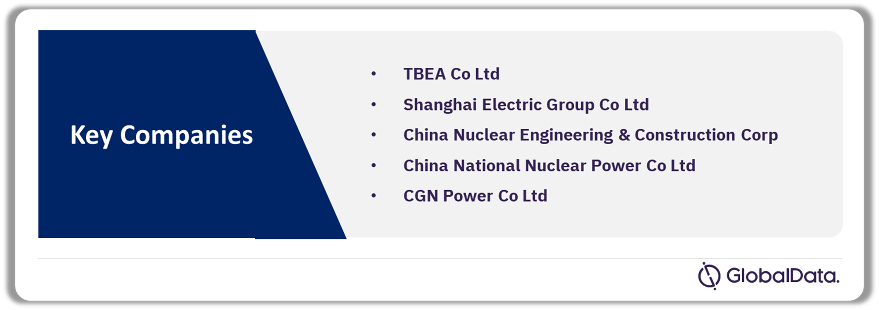 China Nuclear Power Market Analysis by Companies