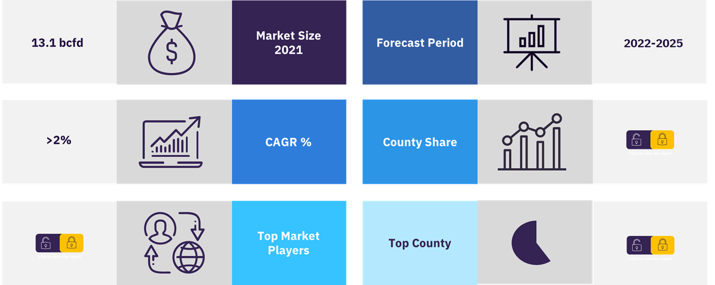 Overview of the Haynesville shale market in the US