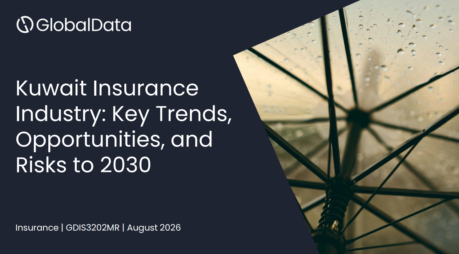 Kuwait Insurance Industry: Key Trends and Opportunities to 2030 standard reports