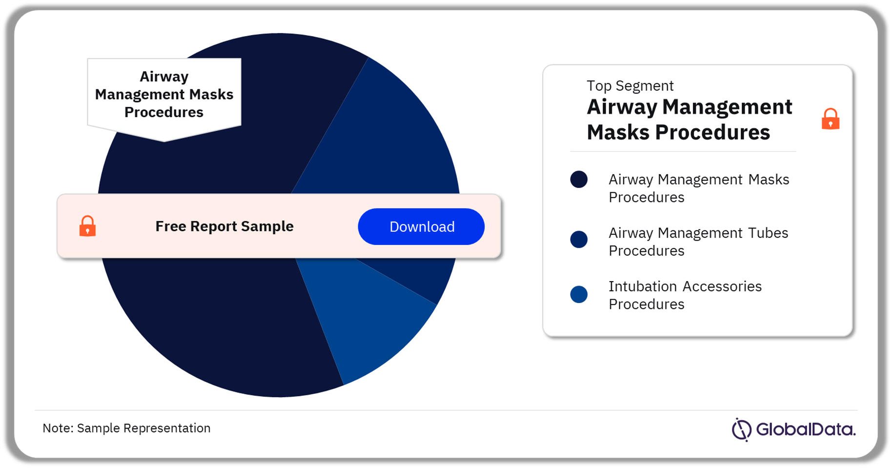 Brazil Airway Management Procedures Market Analysis by Segments, 2022 (%)