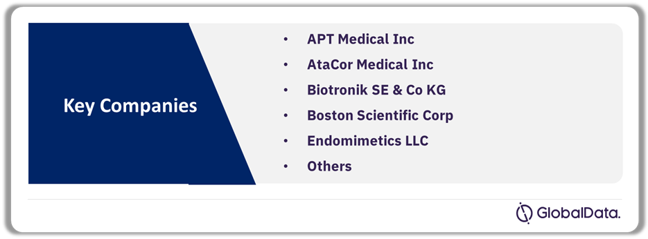 Cardiovascular Pacing and ICD Leads Pipeline Market Analysis by Companies, 2024