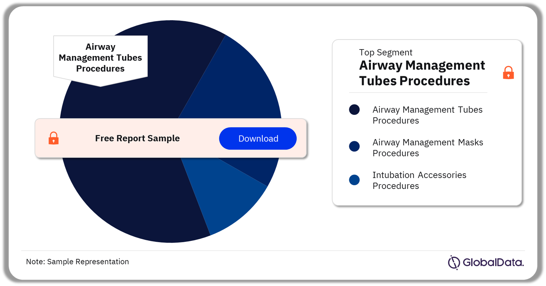 Germany Airway Management Procedures Market Analysis by Segments, 2022 (%)