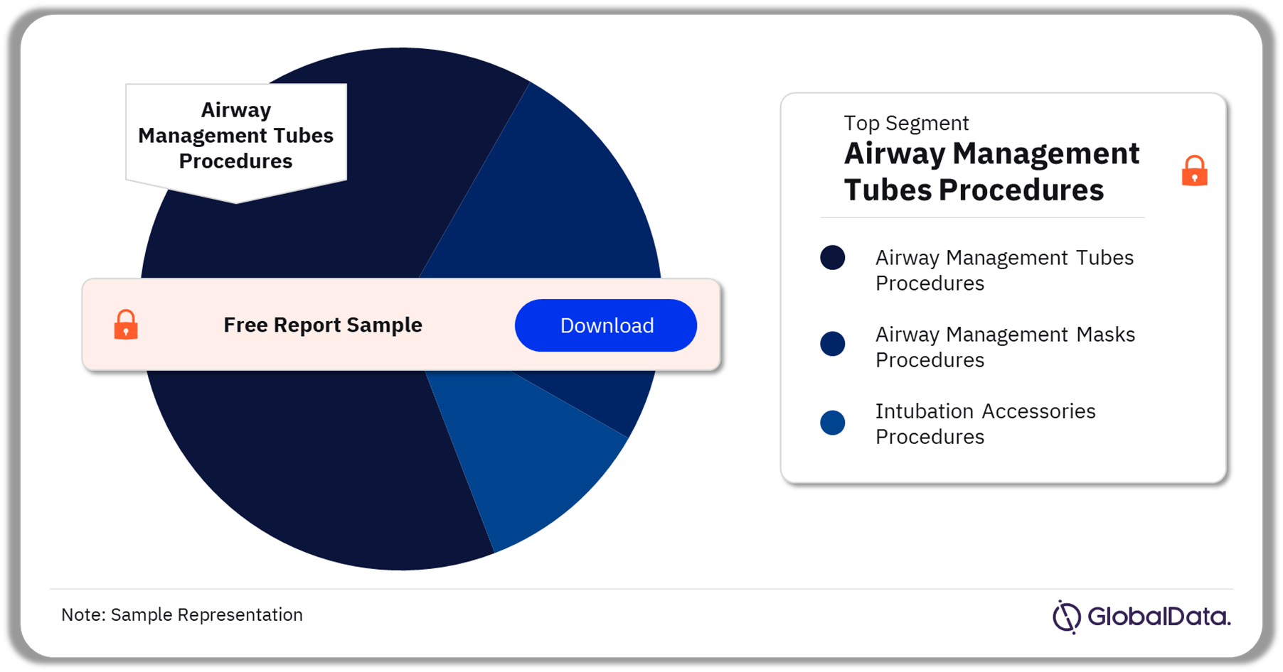 Italy Airway Management Procedures Market Analysis by Segments, 2022 (%)