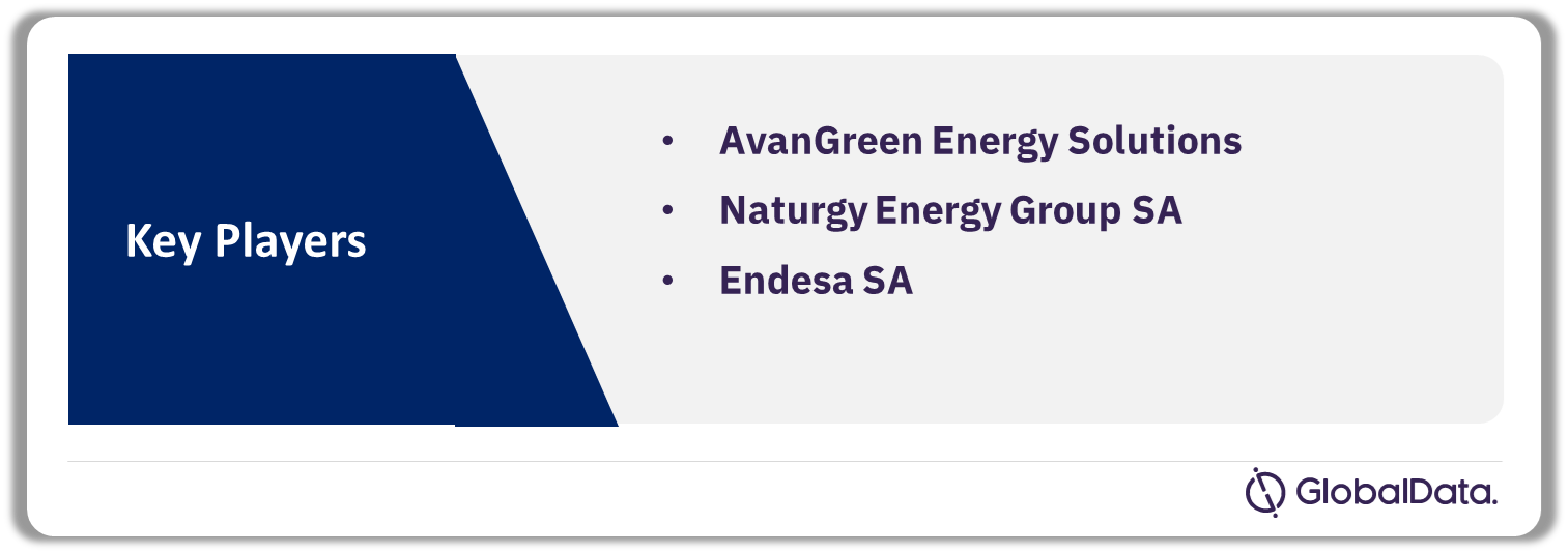 Spain Hydropower Market Analysis by Companies