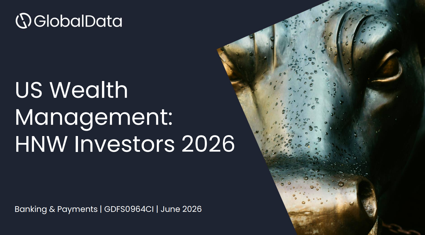 US Wealth Management: HNW Investors 2026 standard reports