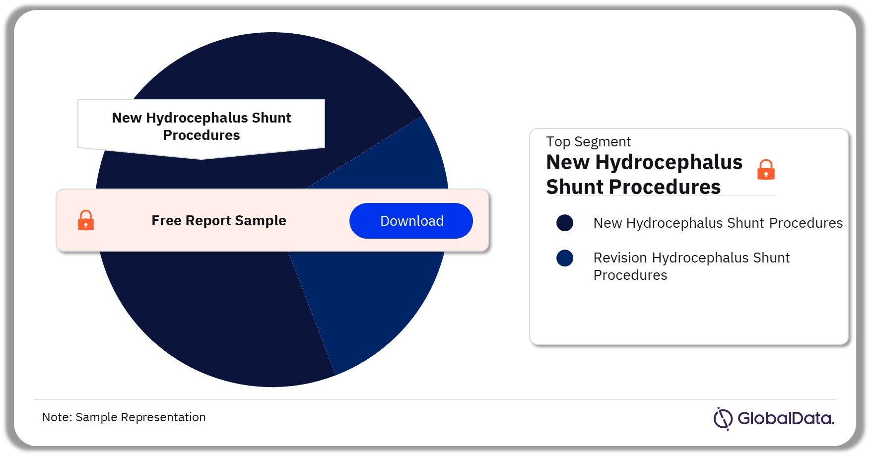 India Hydrocephalus Shunting Procedures Market Analysis by Segments, 2022 (%)