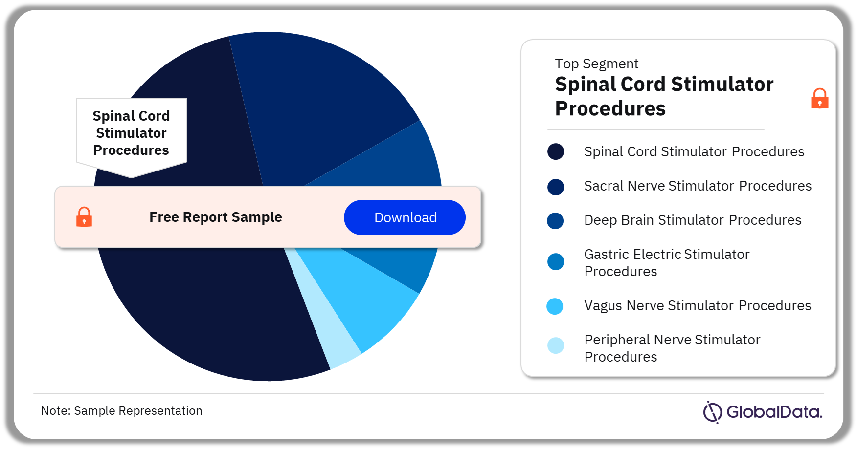Japan Neuromodulation Procedures Market Analysis by Segments, 2022 (%)