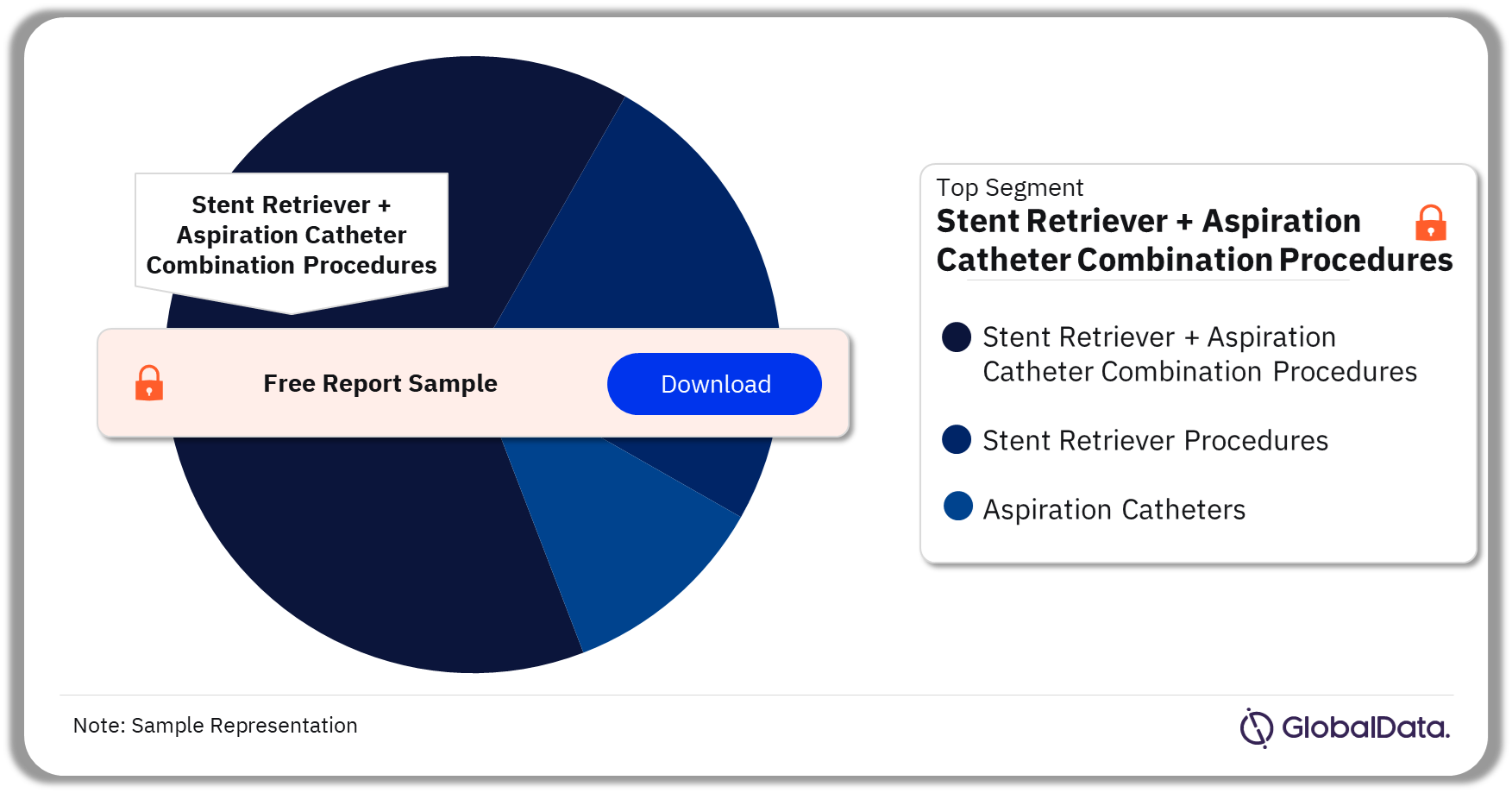 US Neurovascular Thrombectomy Procedures Market Analysis by Segments, 2022 (%)