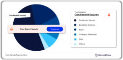 China Seasonings, Dressings, and Sauces Market Analysis by Categories, 2023 (%)