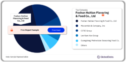 China Seasonings, Dressings, and Sauces Market Analysis by Companies, 2023 (%)