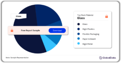 China Seasonings, Dressings, and Sauces Market Analysis by Pack Material, 2023 (%)
