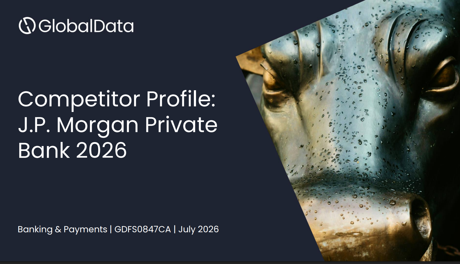 J.P. Morgan Private Bank: Competitor Profile standard reports
