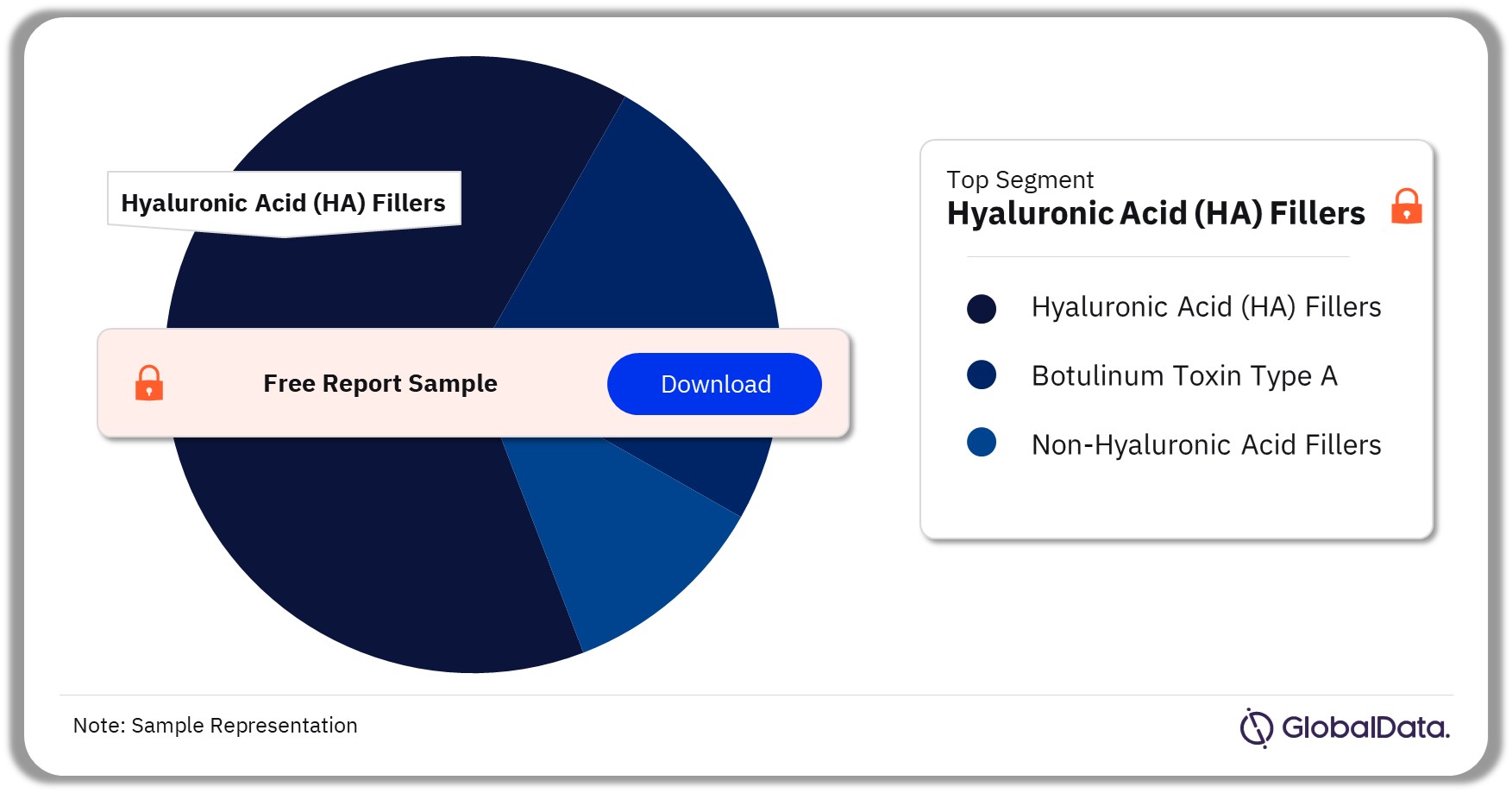 Aesthetic Injectables Market Analysis by Segments, 2023 (%)