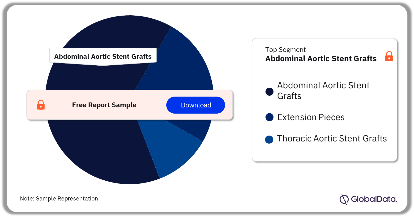 Aortic Stent Grafts Market Analysis by Segments, 2023 (%)