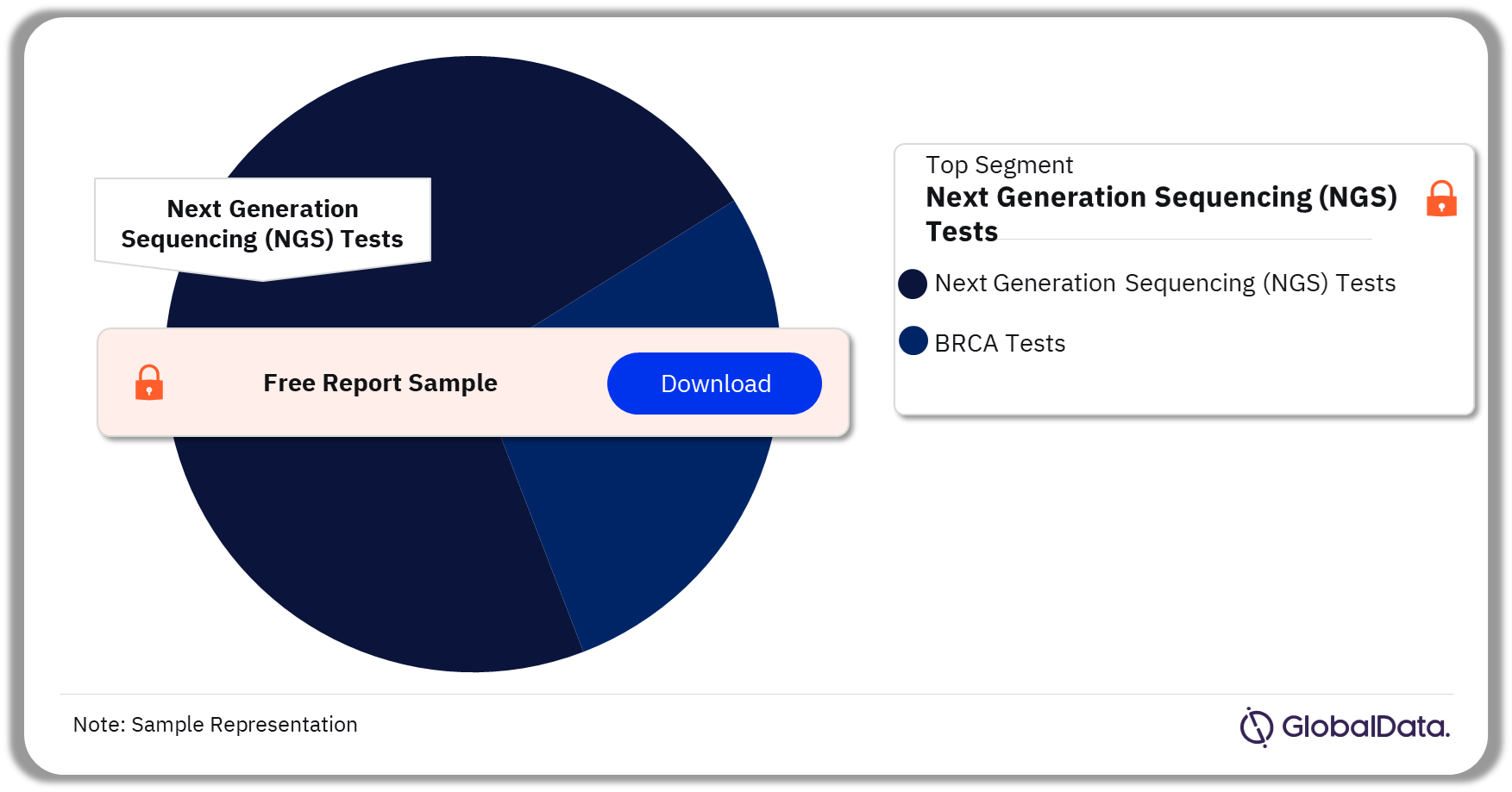 BRCA Tests Market Analysis by Segments, 2023 (%)