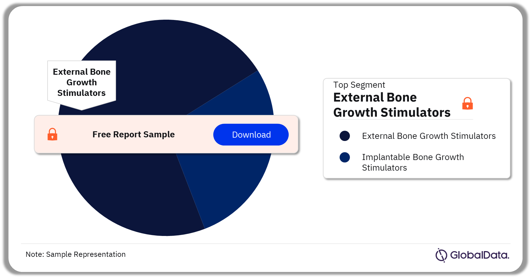 Bone Growth Stimulators Market Analysis by Segments, 2023 (%)
