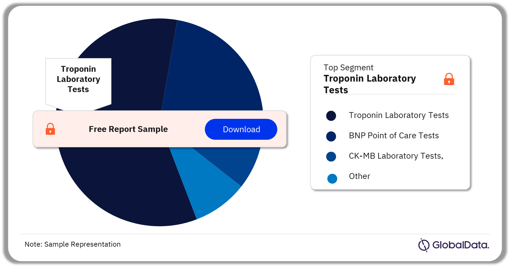 Cardiac Marker Tests Market Analysis, by Segments 2023 (%)