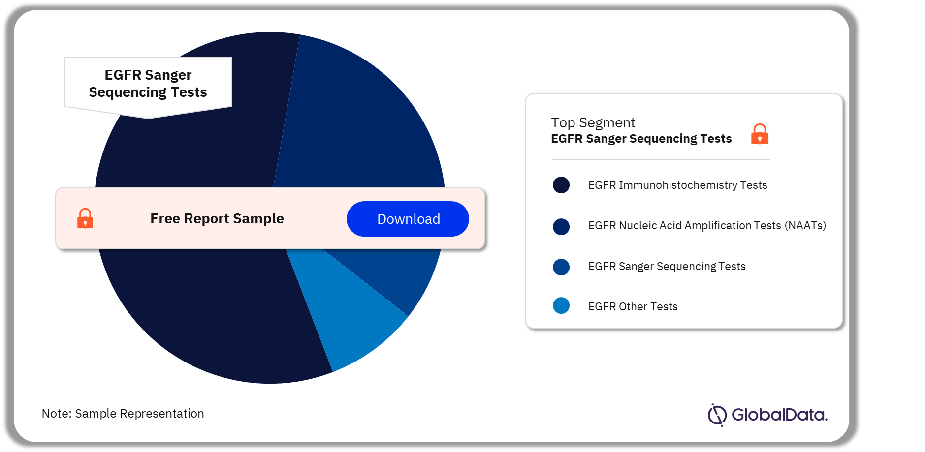 EGFR Tests Market Analysis by Segments, 2023 (%)