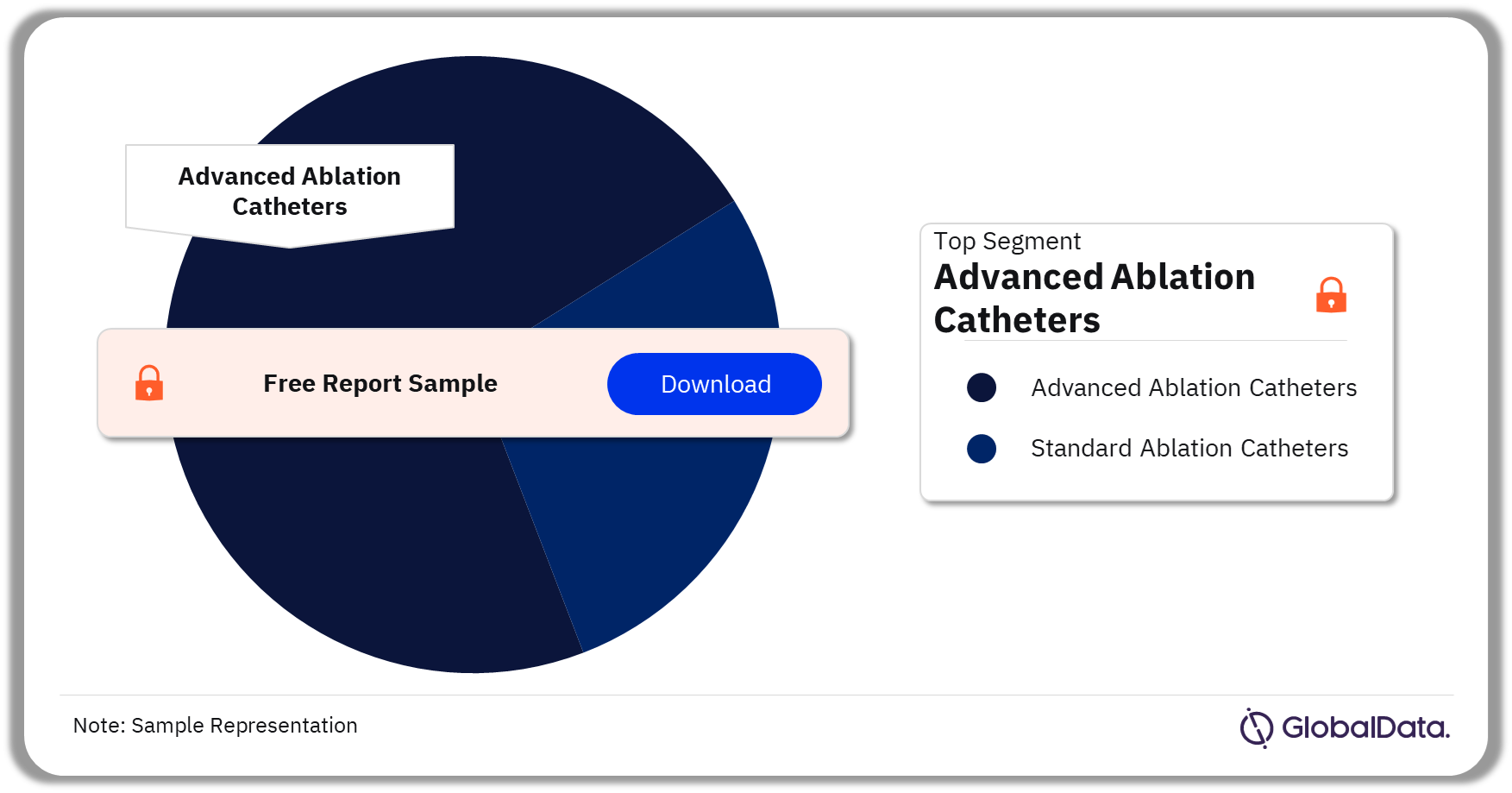 Electrophysiology Ablation Catheters Market Analysis by Segments, 2023 (%)