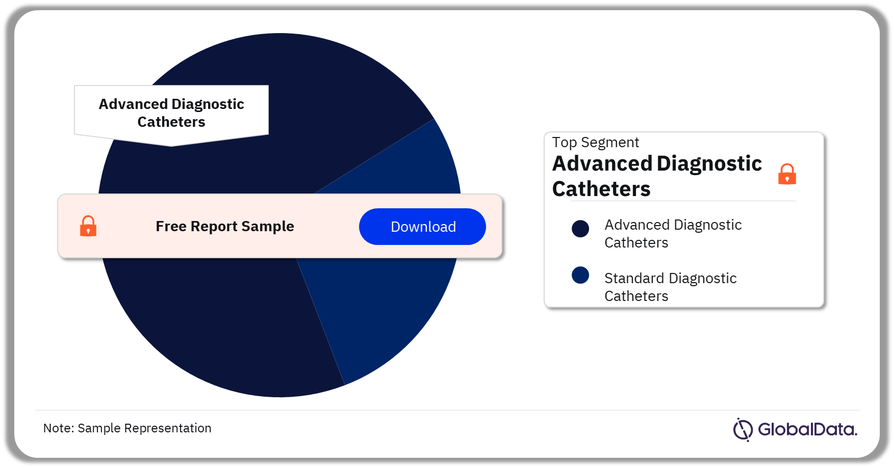 Electrophysiology Diagnostic Catheters Market Analysis by Segments, 2023 (%) 