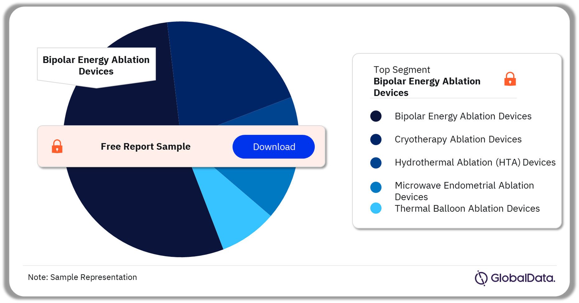 Endometrial Ablation Devices Market Analysis by Segments, 2023 (%)