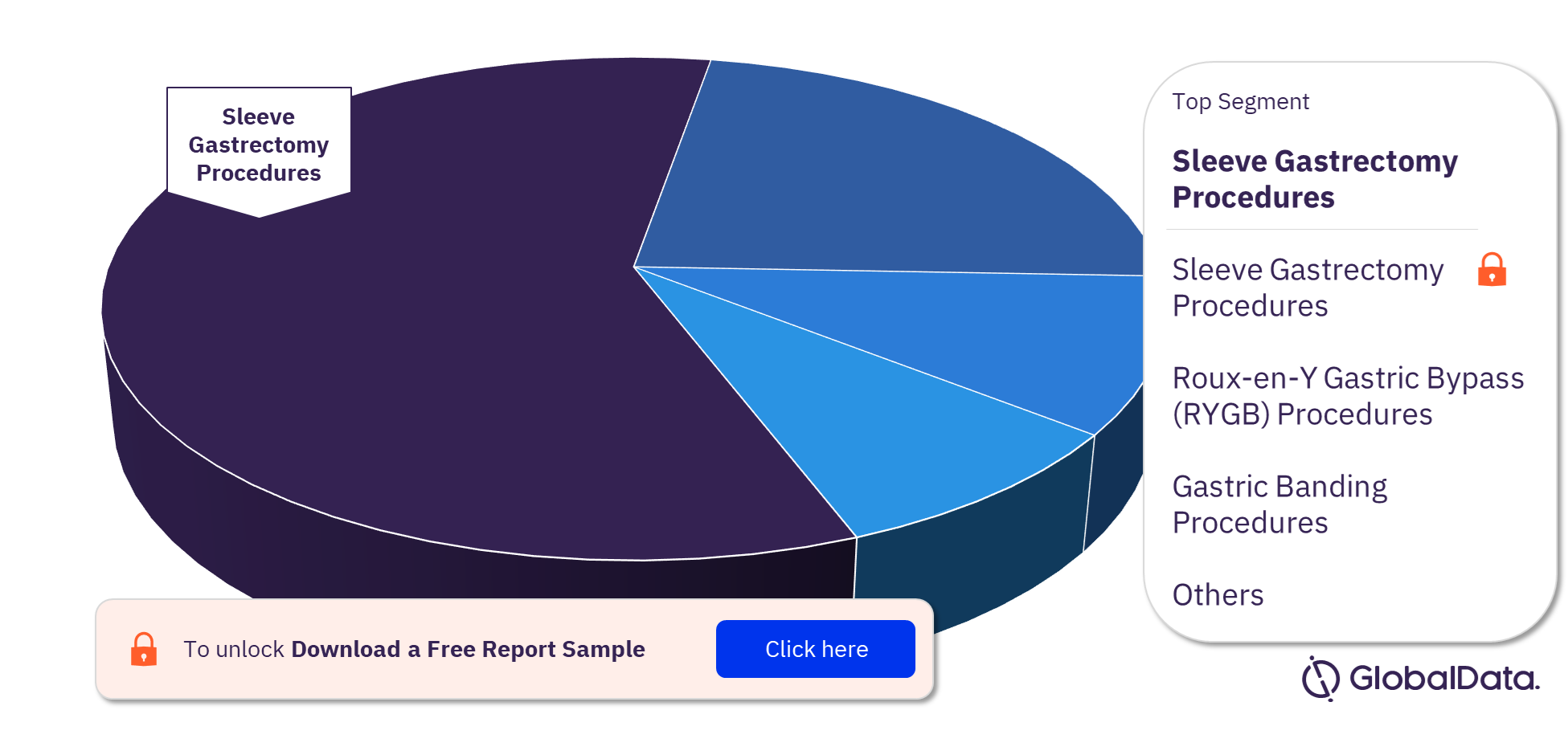 Germany Bariatric Surgery Procedures Market Analysis, by Segments, 2022 (%)