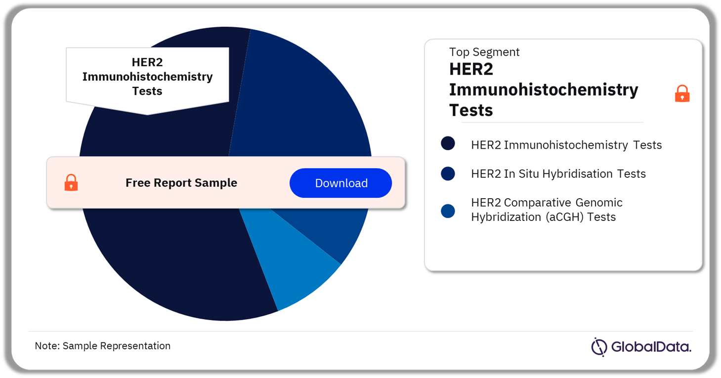 HER2 tests Market Analysis by Segments, 2023 (%)
