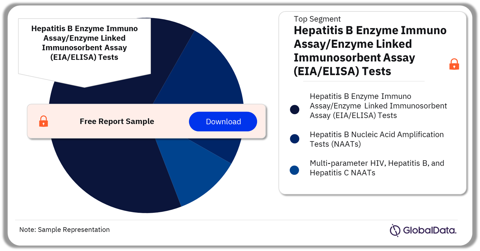 Hepatitis B Tests Market Analysis by Segments, 2023 (%)