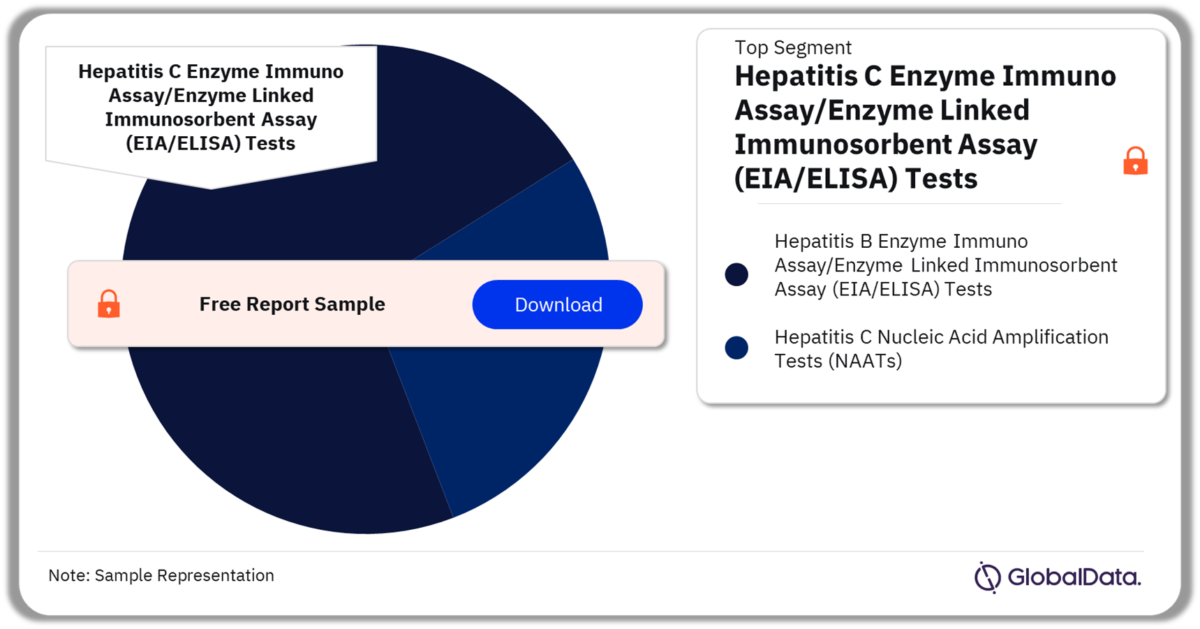 Hepatitis C Tests Market Analysis by Segments, 2023 (%)