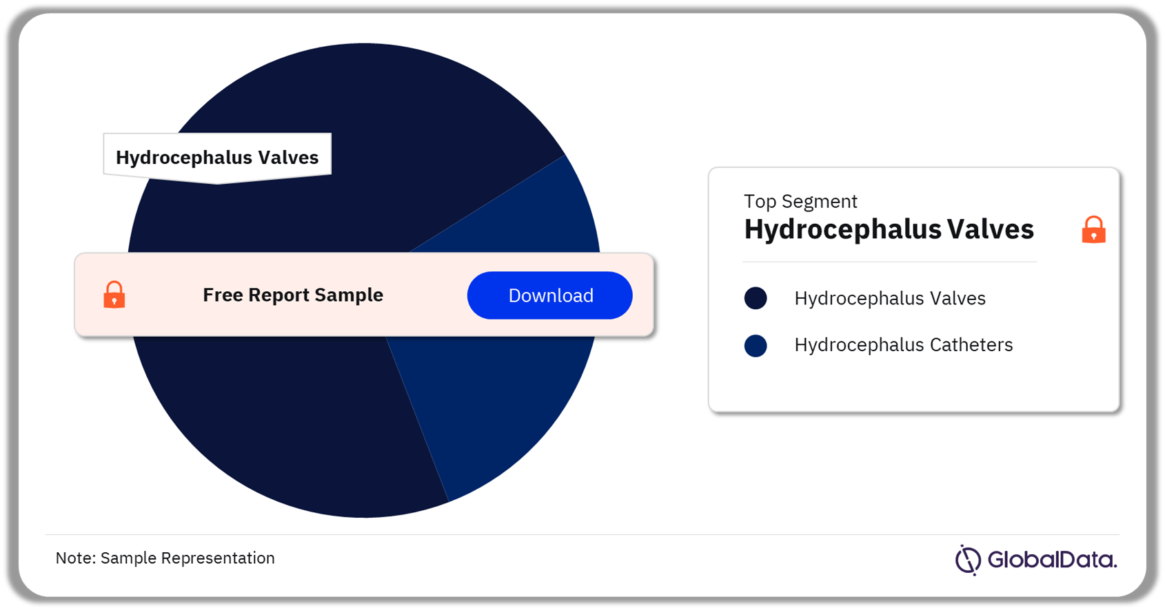 Hydrocephalus Shunts Market Analysis by Segment, 2023 (%)