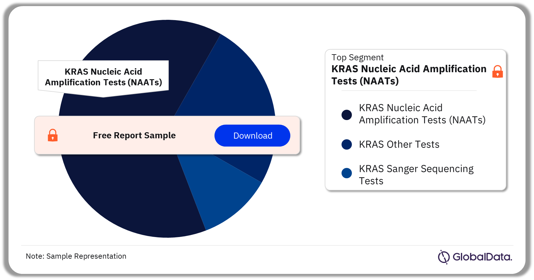 KRAS Tests Market Analysis by Segments, 2023 (%)