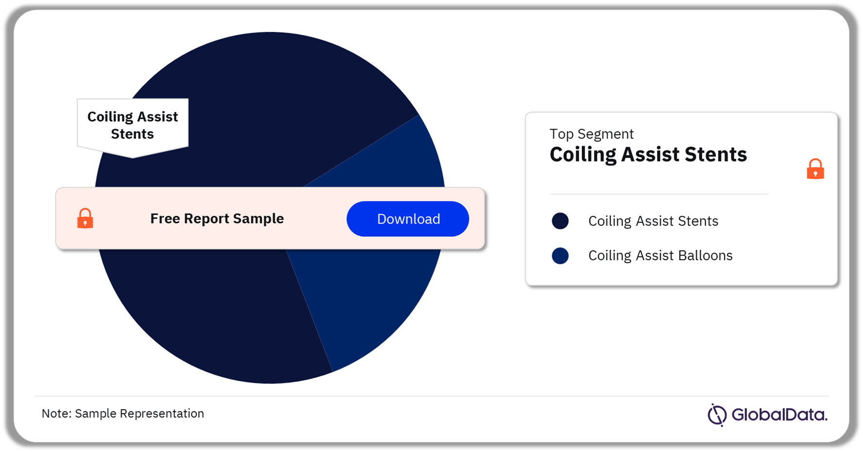 Neurovascular Coiling Assist Devices Market Analysis by Segments, 2023 (%)