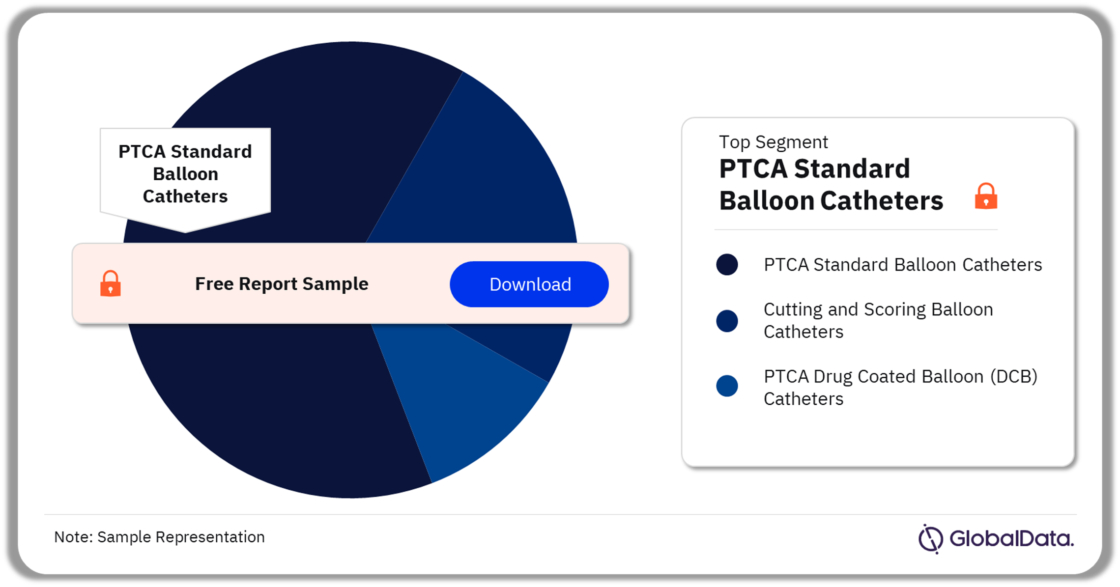 PTCA Balloon Catheters Market Analysis by Segments, 2022 (%)