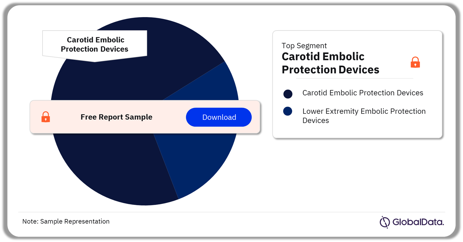 Peripheral Embolic Protection Devices Market Analysis by Segments, 2023 (%)