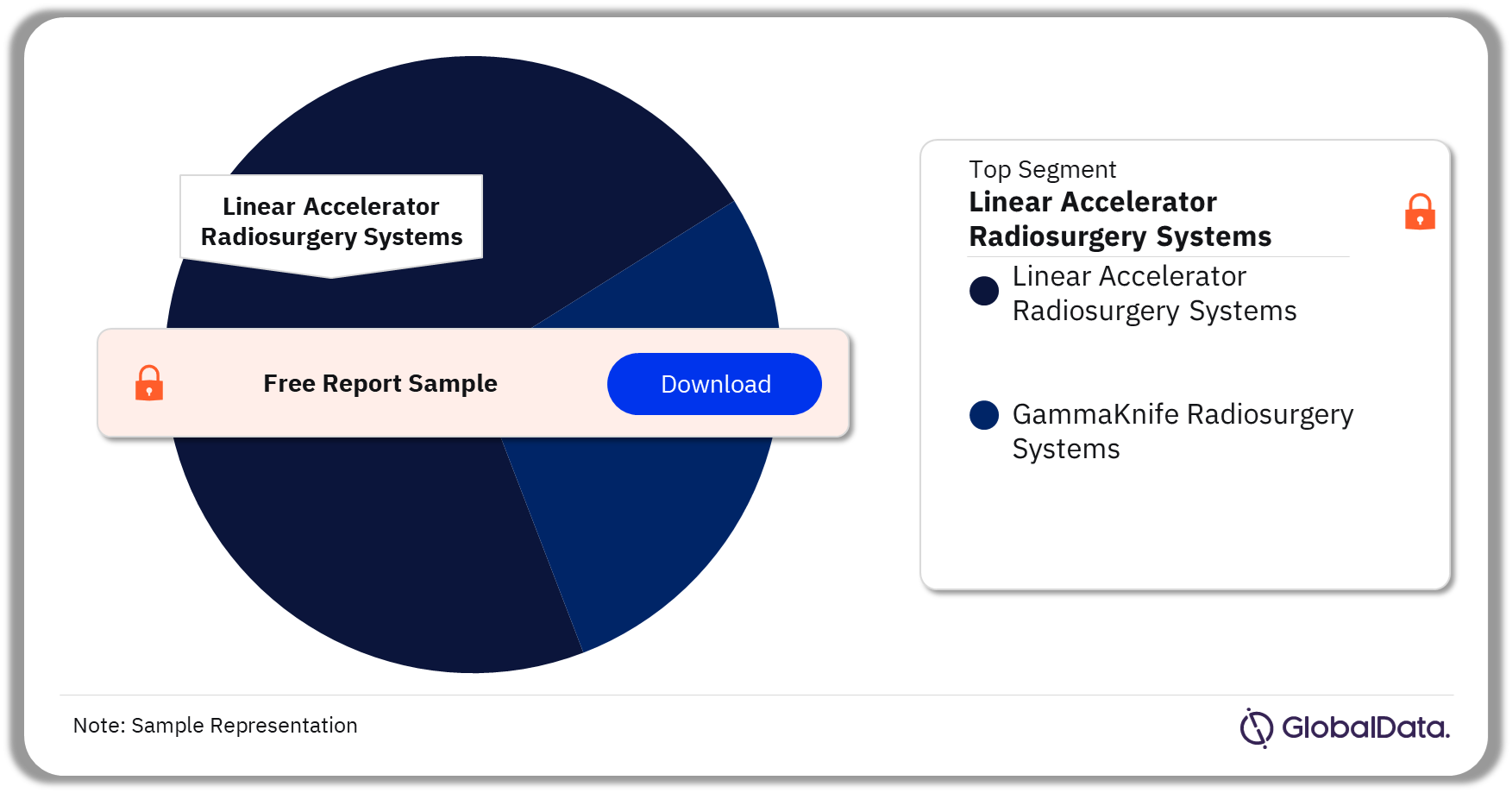 Radiosurgery Systems Market Analysis by Segments, 2023 (%)