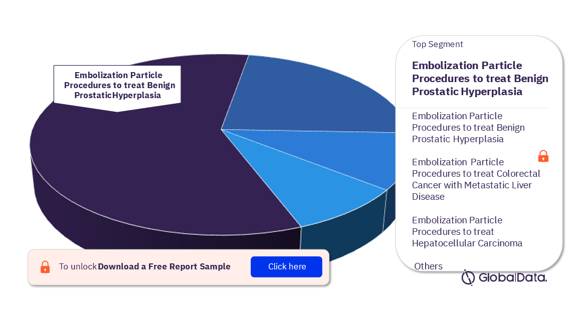 US Embolization Particle Procedures Market Analysis, by Segments, 2022 (%)