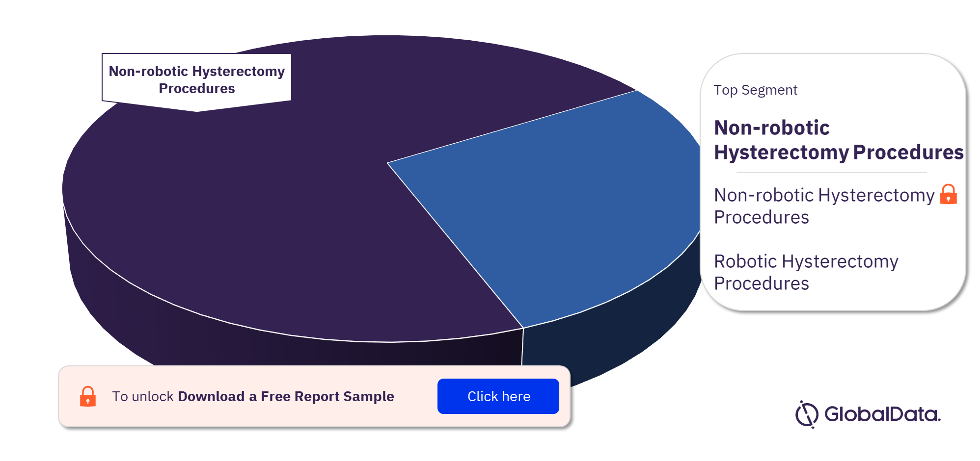 Brazil Hysterectomy Procedures Market Analysis by Segments, 2022 (%)