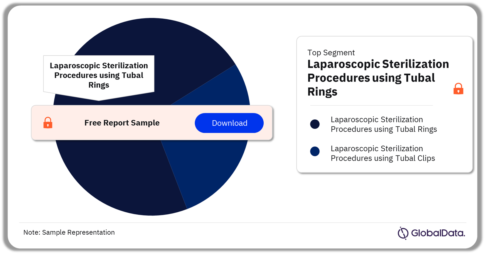 Mexico Laparoscopic Sterilization Procedures Market Analysis by Segments, 2022 (%)