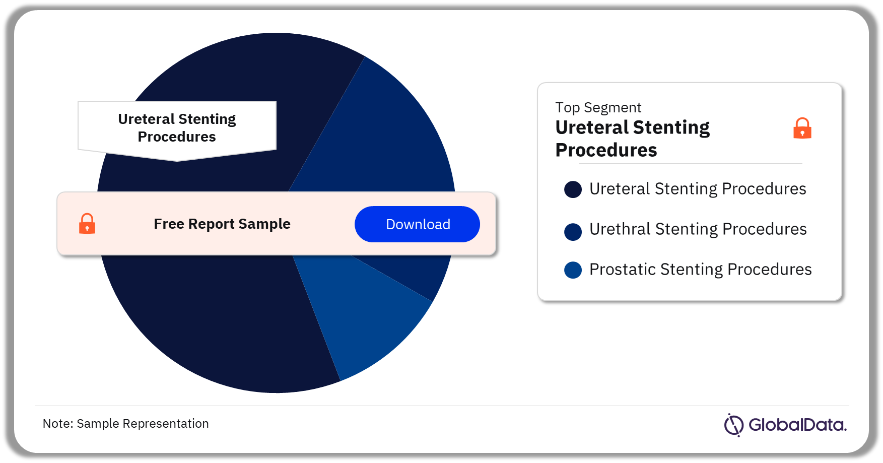 US Urinary Tract Stenting Procedures Market by Segments, 2022 (%)