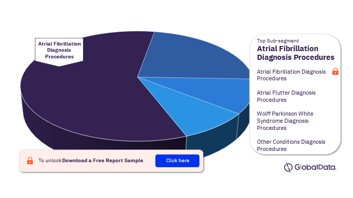 Electrophysiology Diagnostic Procedures Analysis, by Sub-segments