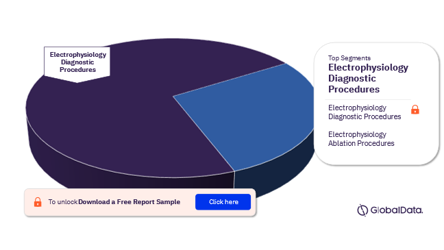 US Electrophysiology Procedures Market Analysis, by Segments
