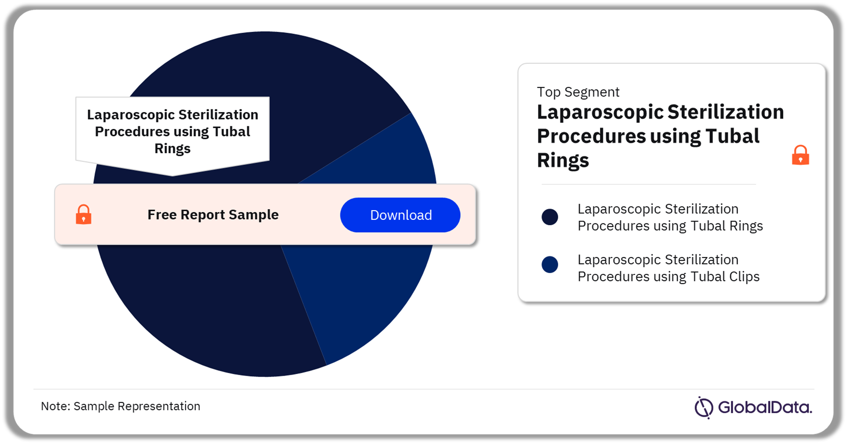 BRIC Laparoscopic Sterilization Procedures Market Analysis by Segments, 2022 (%)