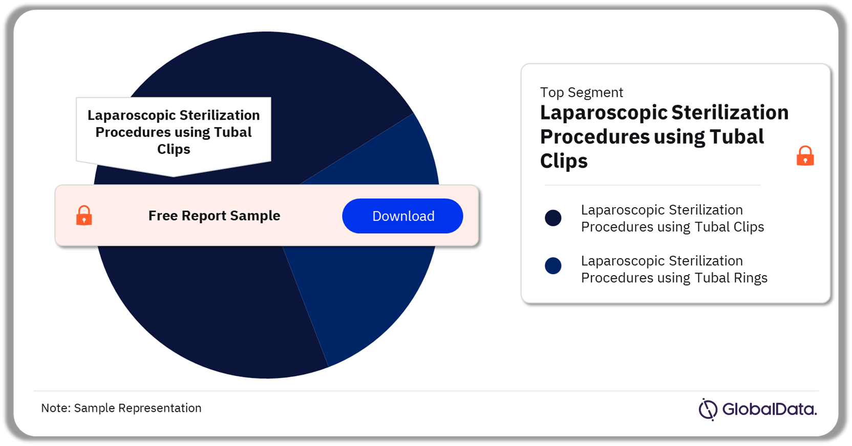 North America Laparoscopic Sterilization Procedures Market Analysis by Segments, 2022 (%)