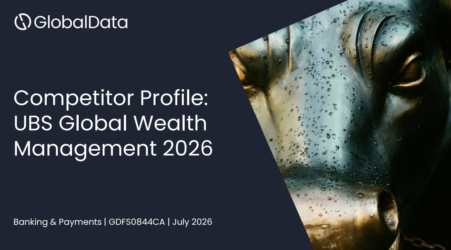 UBS Global Wealth Management: Competitor Profile standard reports