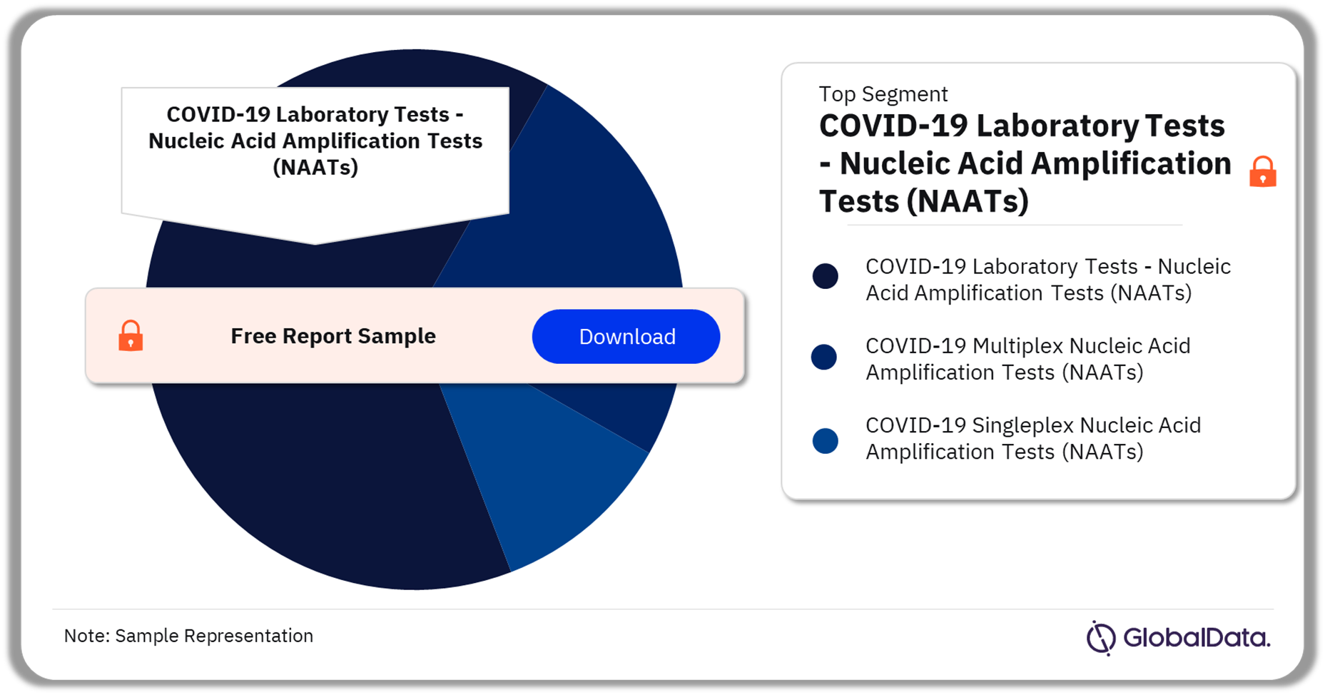 COVID-19 Tests Market Analysis by Segments, 2023 (%)